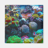 コーラルカラフル マグネット (正面)