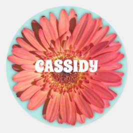 コーラルカラージェルベラデイジーフォトミントグリーン ラウンドシール