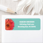 コーラルカラージェルベラデイジーフォトミントグリーン ラベル (インサイチュ)