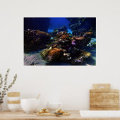 コーラルガーデン ポスター (キッチン)