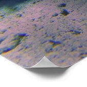 コーラルガーデン ポスター (角)