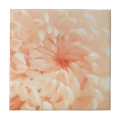 コーラルキク タイル (正面)