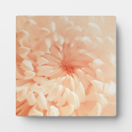 コーラルキク フォトプラーク