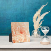 コーラルキク フォトプラーク (インサイチュ)