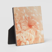 コーラルキク フォトプラーク (正面)