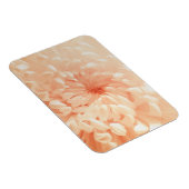 コーラルキク マグネット (右側)