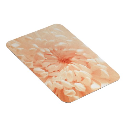 コーラルキク マグネット (右側)