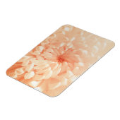 コーラルキク マグネット (左側)