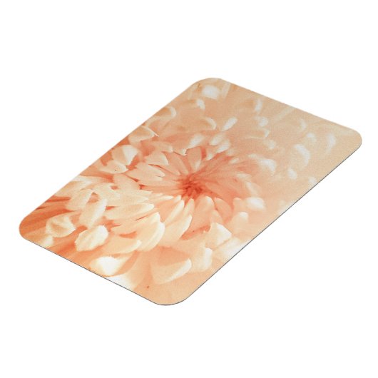 コーラルキク マグネット (左側)