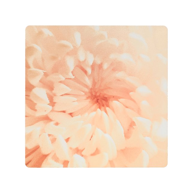 コーラルキク メタルプリント (正面)