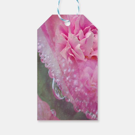 コーラルグラス&牡丹ピンク開花中抱き枕 ギフトタグ (裏面)