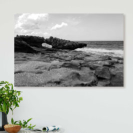 コーラルコー吹ブの岩ジュピターFlorida Wall Art メタルプリント