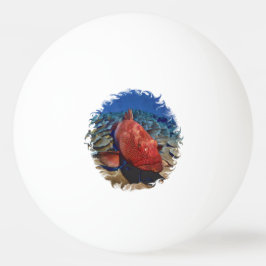 コーラルゴルフボール上のハタ魚ゴルフボールマーカー 卓球ボール