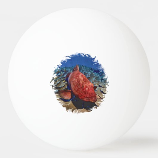 コーラルゴルフボール上のハタ魚ゴルフボールマーカー 卓球ボール (正面)