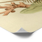 コーラルシーシェルカラーアートプリント ポスター (角)