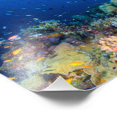 コーラルシーフォトプリント フォトプリント            (角)