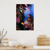 コーラルシー – 熱帯魚&リーフ – ポスター (キッチン)