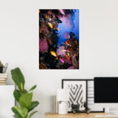 コーラルシー – 熱帯魚&リーフ – ポスター (ホームオフィス)