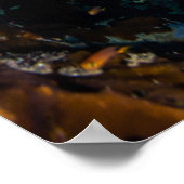 コーラルシー – 熱帯魚&リーフ – ポスター (角)