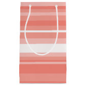 コーラルストライプ スモールペーパーバッグ (正面)