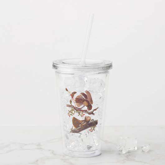 コーラルスネークとチャックウィルの未亡人のナイトジャー アクリルタンブラー (アイス裏面)