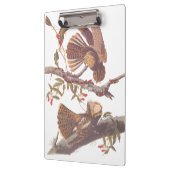 コーラルスネークとチャックウィルの未亡人のナイトジャー クリップボード (左)