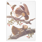 コーラルスネークとチャックウィルの未亡人のナイトジャー クリップボード (裏面)