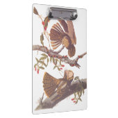 コーラルスネークとチャックウィルの未亡人のナイトジャー クリップボード (右)