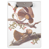 コーラルスネークとチャックウィルの未亡人のナイトジャー クリップボード (正面)