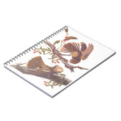 コーラルスネークとチャックウィルの未亡人のナイトジャー ノートブック (左側)