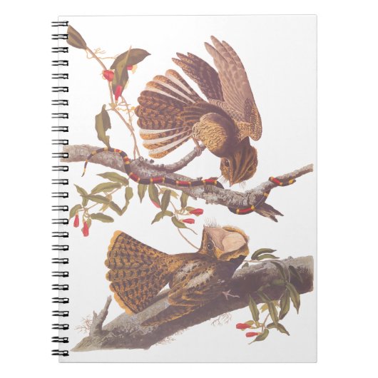 コーラルスネークとチャックウィルの未亡人のナイトジャー ノートブック (正面)