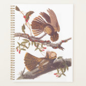 コーラルスネークとチャックウィルの未亡人のナイトジャー プランナー手帳 (正面)