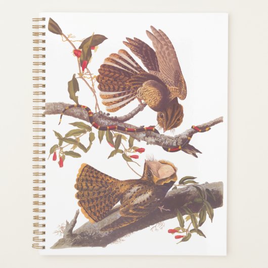 コーラルスネークとチャックウィルの未亡人のナイトジャー プランナー手帳 (正面)