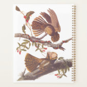 コーラルスネークとチャックウィルの未亡人のナイトジャー プランナー手帳 (裏面)