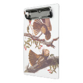 コーラルスネークとチャックウィルの未亡人のナイトジャー ミニクリップボード (アングル2)