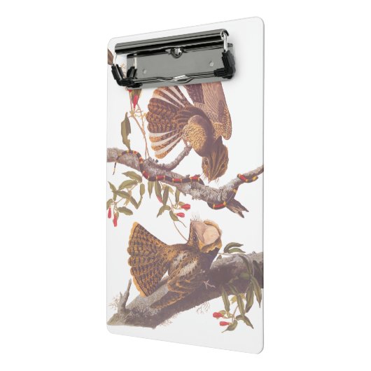 コーラルスネークとチャックウィルの未亡人のナイトジャー ミニクリップボード (アングル2)