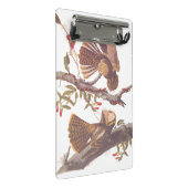 コーラルスネークとチャックウィルの未亡人のナイトジャー ミニクリップボード (アングル)