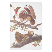 コーラルスネークとチャックウィルの未亡人のナイトジャー ミニクリップボード (裏面)