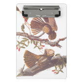 コーラルスネークとチャックウィルの未亡人のナイトジャー ミニクリップボード (正面)