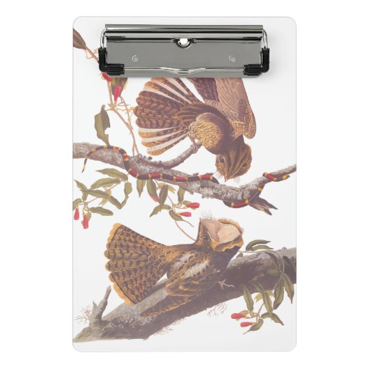 コーラルスネークとチャックウィルの未亡人のナイトジャー ミニクリップボード (正面)