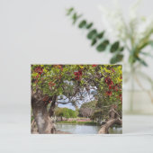 コーラルツリーインザパーク ポストカード (スタンド正面)