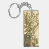 コーラルバイザシー キーホルダー (正面左)