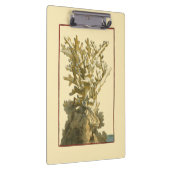 コーラルバイザシー クリップボード (右)