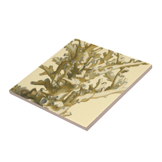 コーラルバイザシー タイル (側面)