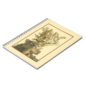 コーラルバイザシー ノートブック (左側)