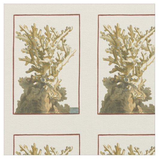 コーラルバイザシー ファブリック (クローズアップ)