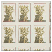 コーラルバイザシー ファブリック (見本)