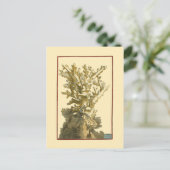 コーラルバイザシー ポストカード (スタンド正面)