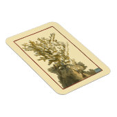 コーラルバイザシー マグネット (右側)