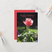 コーラルバラハッピーバースデー！お前のカーカスタマイズド カード (正面/裏面インサイチュ)
